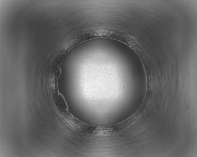 X0000061120368200512022159