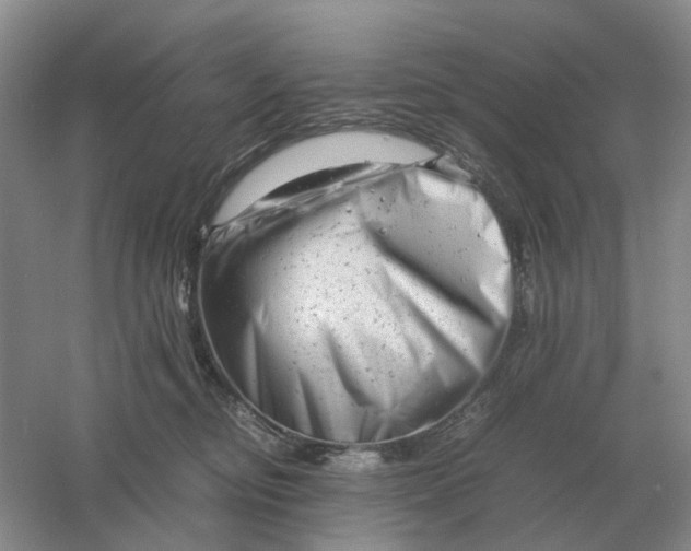 X0000061120374200512022159
