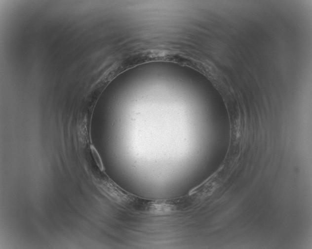 X0000061120376200512022159