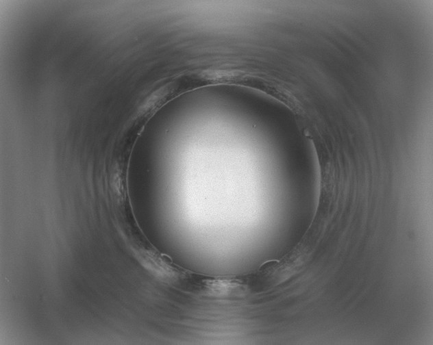 X0000061120380200512022159