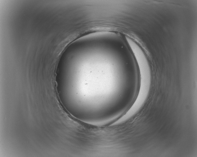 X0000061120385200512022158