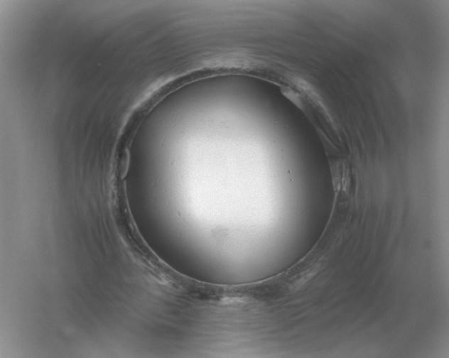 X0000061120388200512022158