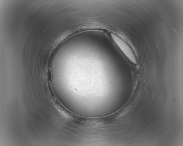 X0000061120389200512022158