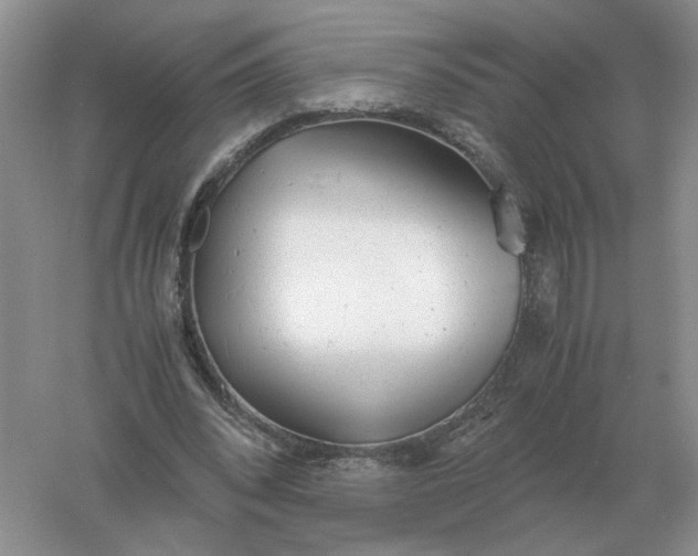 X0000061120392200512022158