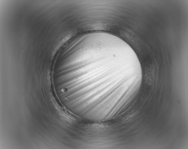 X0000061120394200512022158