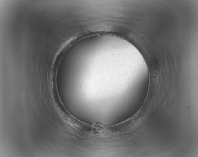 X0000061120395200512022158