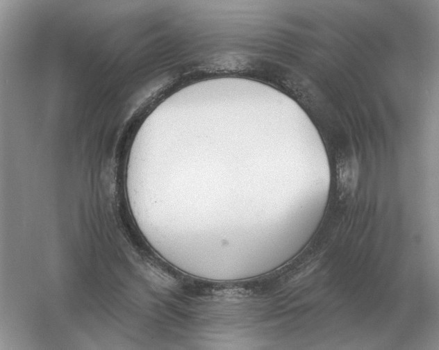 X0000061120396200512022158