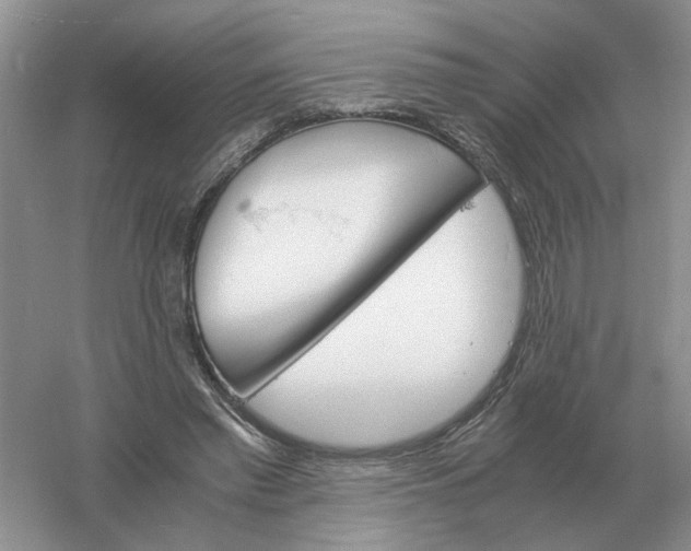 X0000061120397200512022158