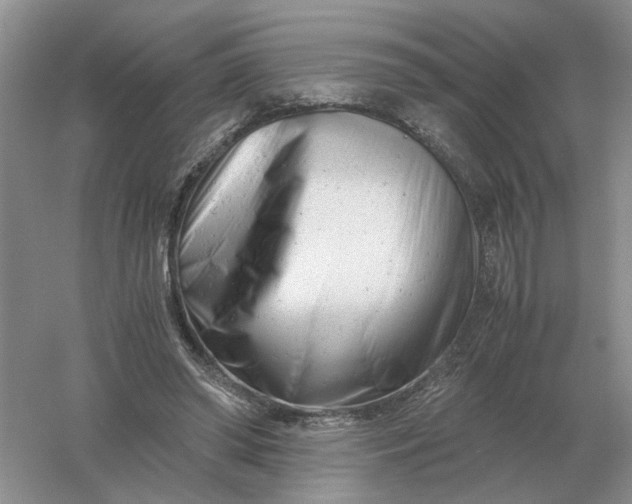 X0000061120398200512022158