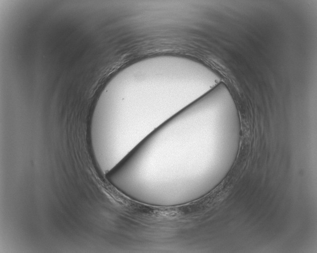 X0000061120401200512022158