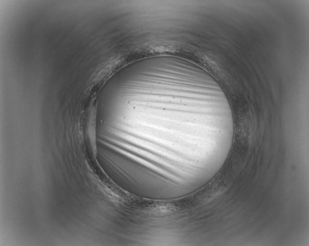 X0000061120402200512022158