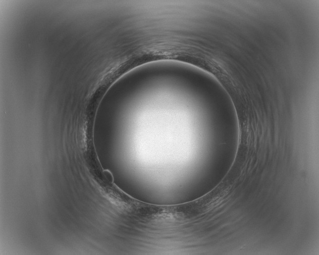 X0000061120404200512022158