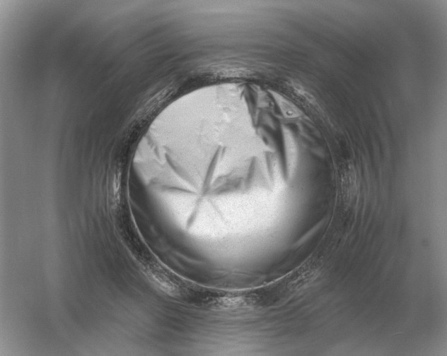 X0000061120406200512022158