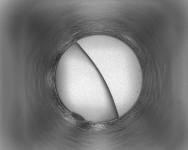X0000061120409200512022158