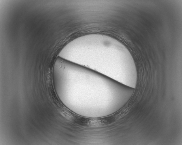 X0000061120413200512022158