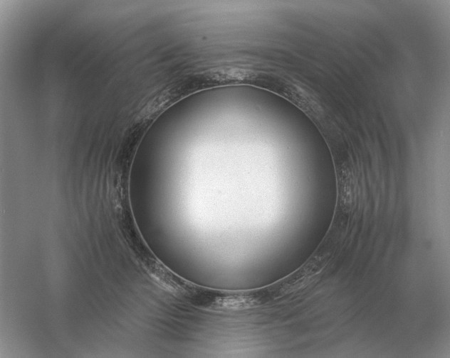 X0000061120414200512022158