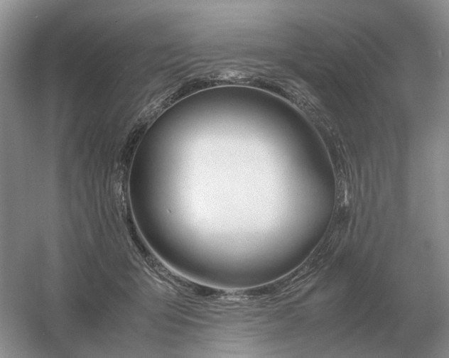 X0000061120415200512022158