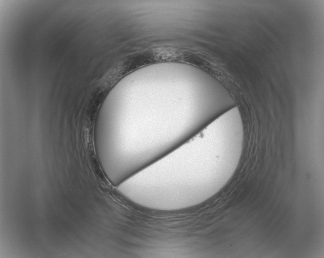 X0000061120417200512022158