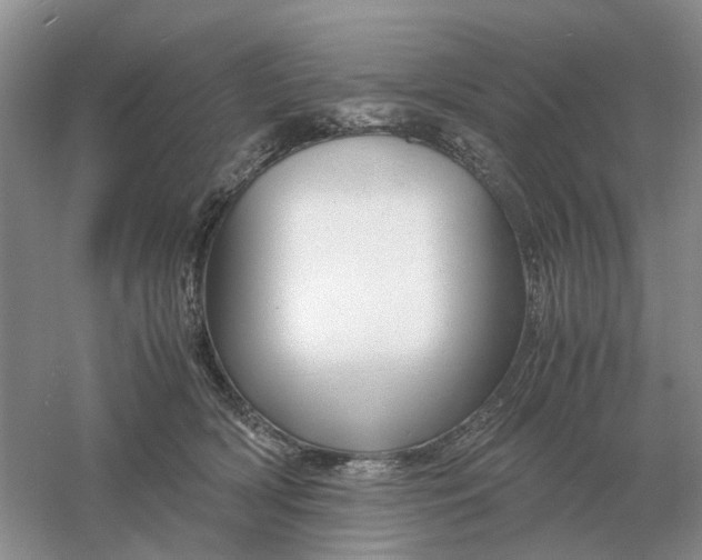 X0000061120418200512022158