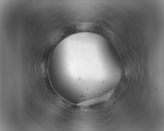 X0000061120420200512022158
