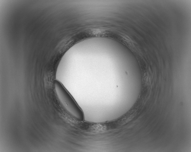 X0000061120421200512022158