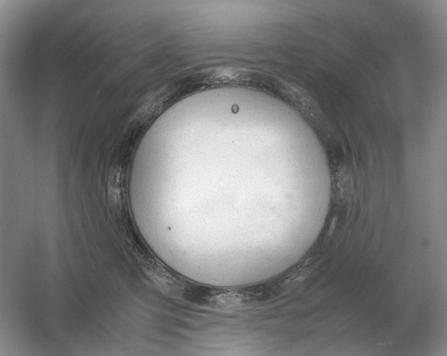 X0000061120423200512022157