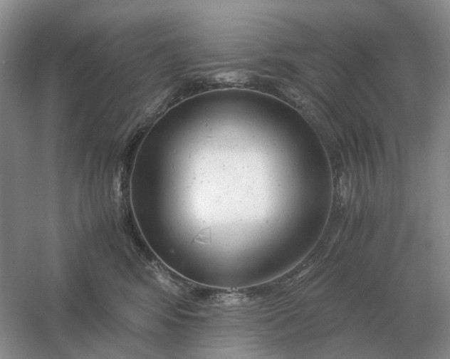 X0000061120424200512022157