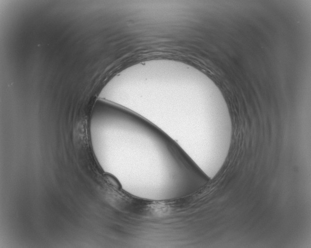 X0000061120425200512022157