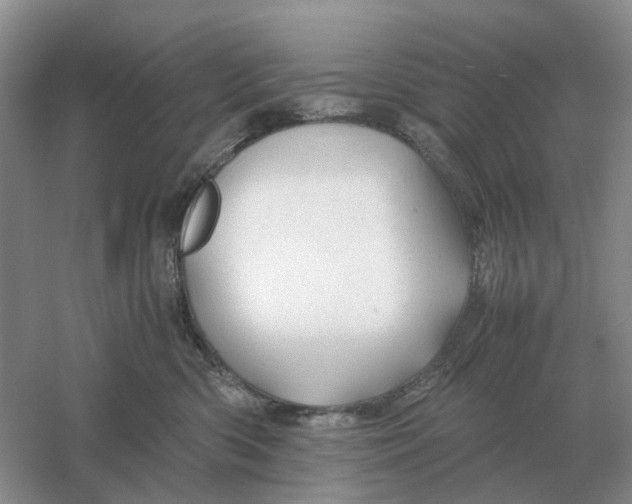 X0000061120426200512022157