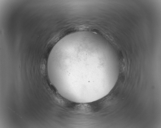 X0000061120427200512022157