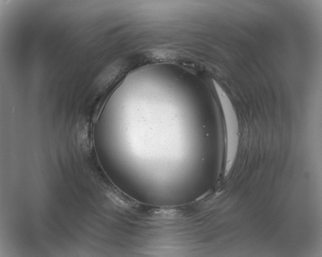 X0000061120428200512022157