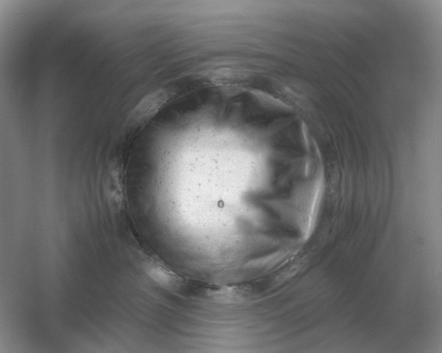 X0000061120430200512022157