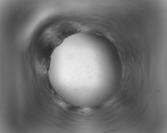 X0000061120431200512022157