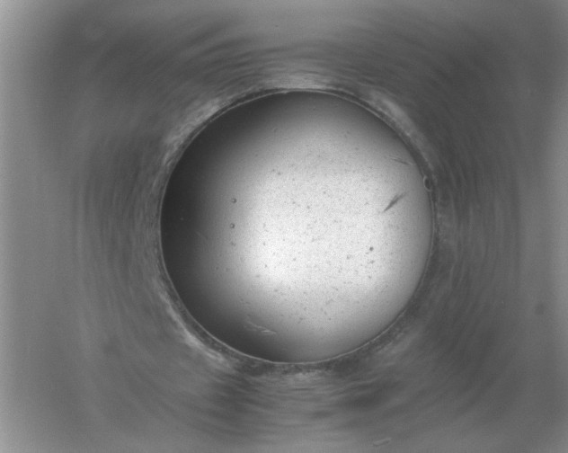 X0000061120433200512022157