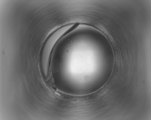 X0000061120434200512022157