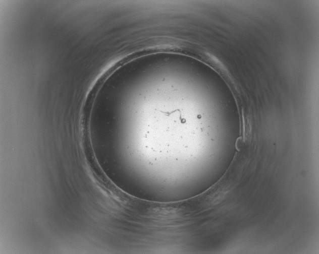 X0000061120435200512022157