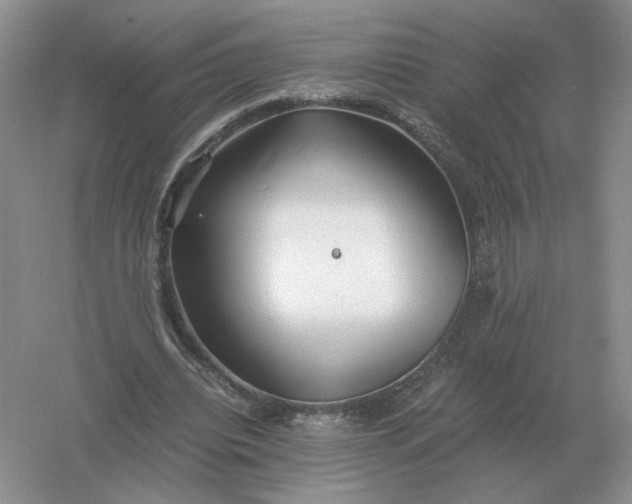 X0000061120440200512022157