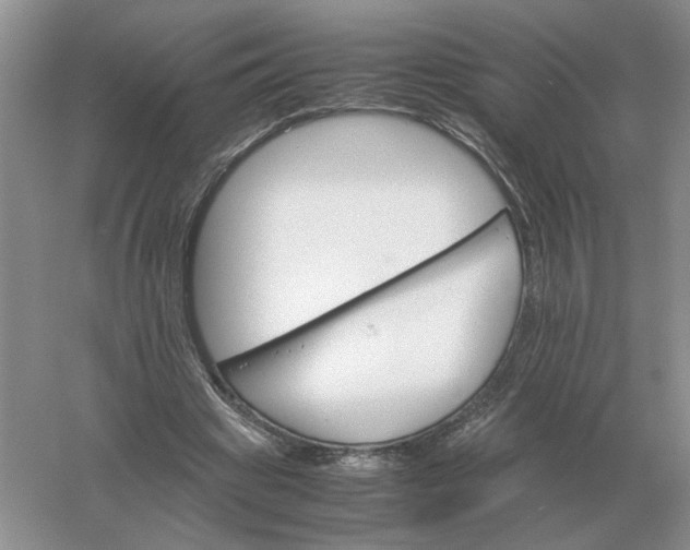 X0000061120441200512022157