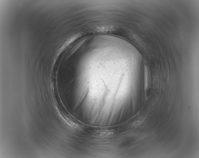 X0000061120443200512022157