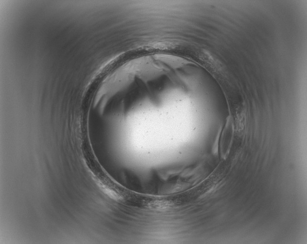 X0000061120444200512022157