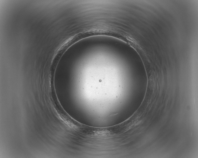 X0000061120446200512022157