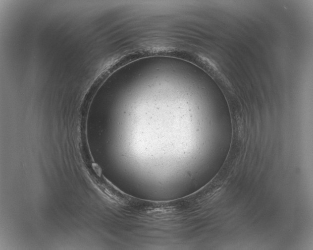 X0000061120447200512022157