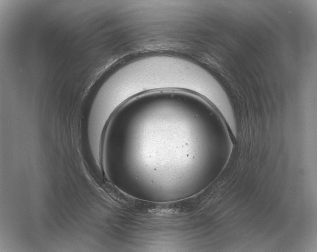 X0000061120448200512022157