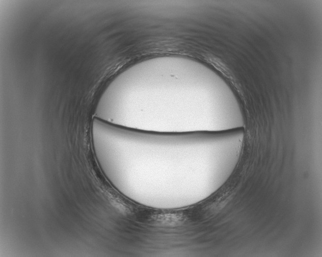 X0000061120449200512022157