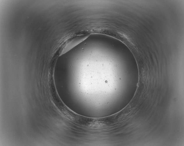 X0000061120451200512022157