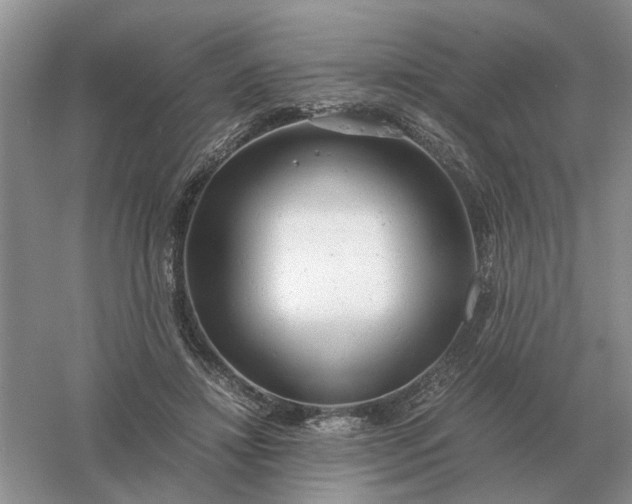 X0000061120452200512022157