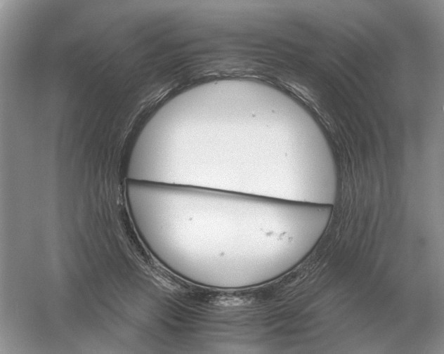 X0000061120453200512022157