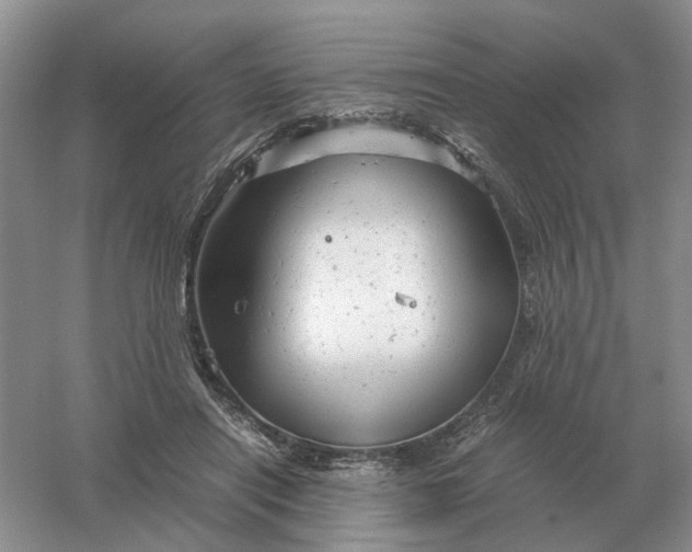 X0000061120454200512022157