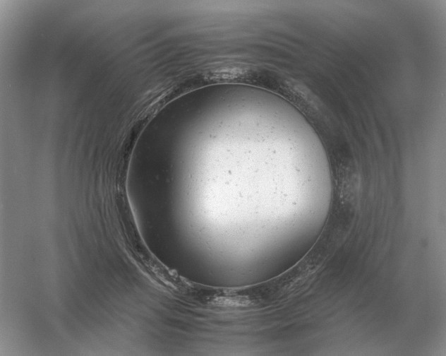 X0000061120455200512022157