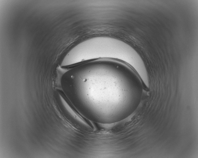 X0000061120456200512022157